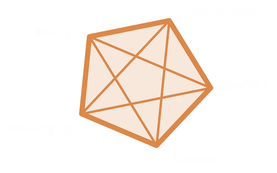 Het Pentagoon met de vijf pijlers slaap, metabolisme, beweging, mentaal en sociaal